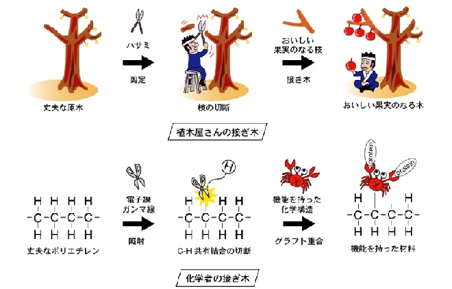 グラフト重合基本.jpg