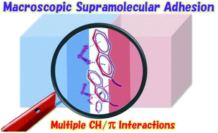 Graphical abstract: Exploiting CH/ interactions in robust supramolecular adhesives