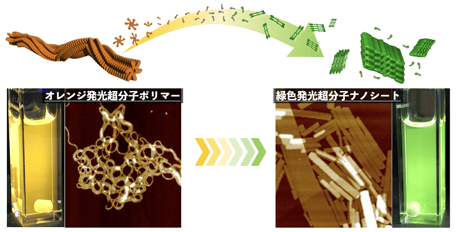 xDiversityという可能性の挑戦』（落合 陽一,菅野