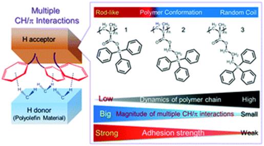 Graphical abstract: Effective design of supramolecular polymer adhesives based on multiple CH/ interactions